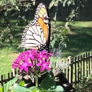 Meet your Posher, Christine